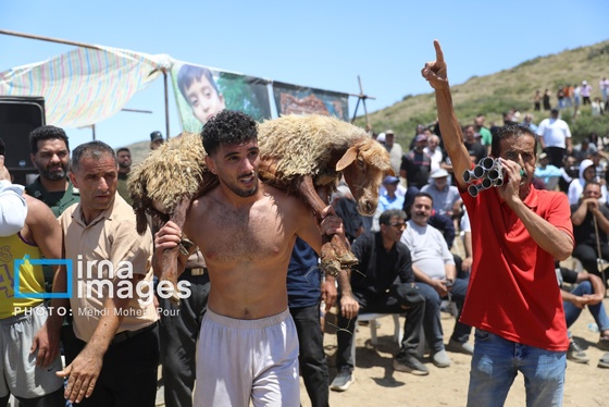 گزارش تصویری | «لوچو» میراث پهلوانی مازندران