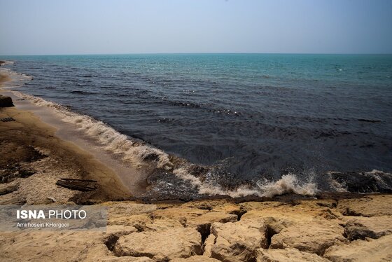 گزارش تصویری | آلودگی نفتی در سواحل قشم و هنگام