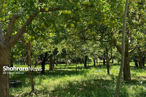 سفری کوتاه در قاب تصویر |  دره و آبشار امرودک در دل کوه‌های هزار مسجد