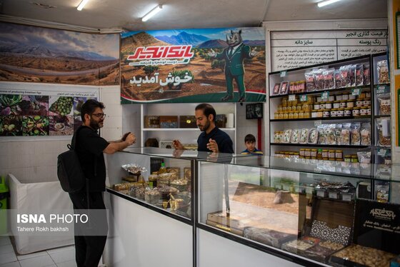 ایران زیباست | بزرگترین انجیرستان دیم جهان - استهبان