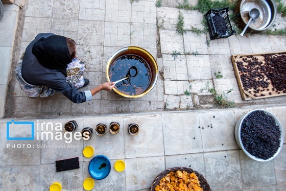 گزارش تصویری | رویان؛ شهر انگور