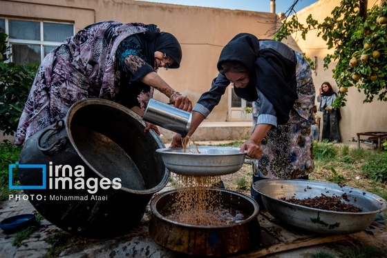 گزارش تصویری | رویان؛ شهر انگور