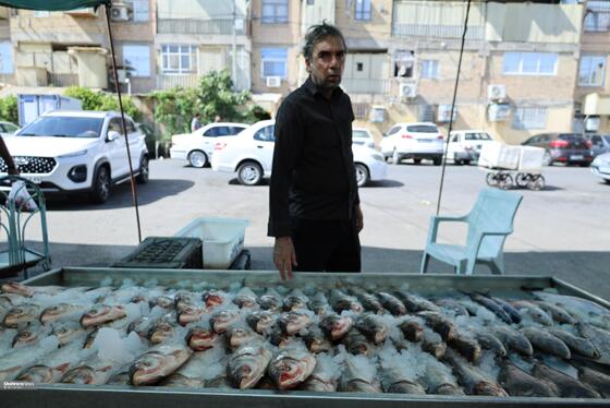 فروشنده ماهی در شهرک عربهای مشهد از سرمای یخ برای تازه نگه داشتن ماهی هایش استفاده می کند