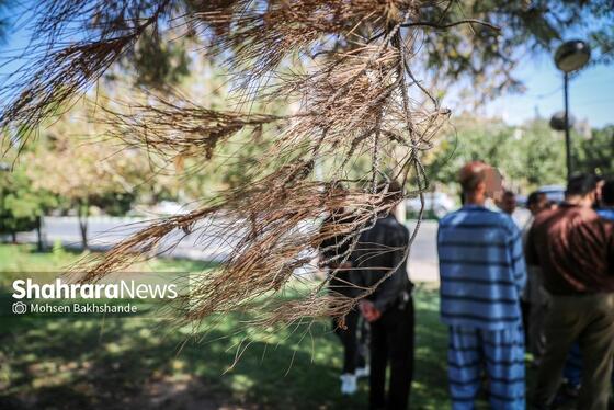 گزارش تصویری | صحنه شهادت ۲ بسیجی در مشهد بازسازی شد