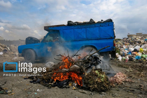 گزارش تصویری | مرگ خاموش جنگل‌های مازندران زیر آوار زباله‌های ناخوانده