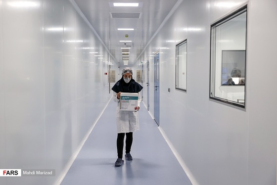 نحوه تولید واکسن برکت