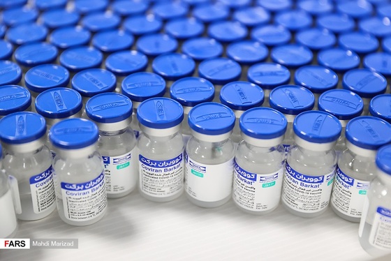 نحوه تولید واکسن برکت