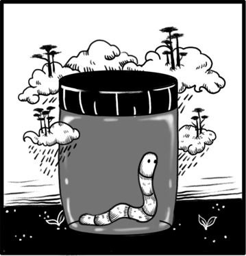 آثار نقاشی ساره کاظمی