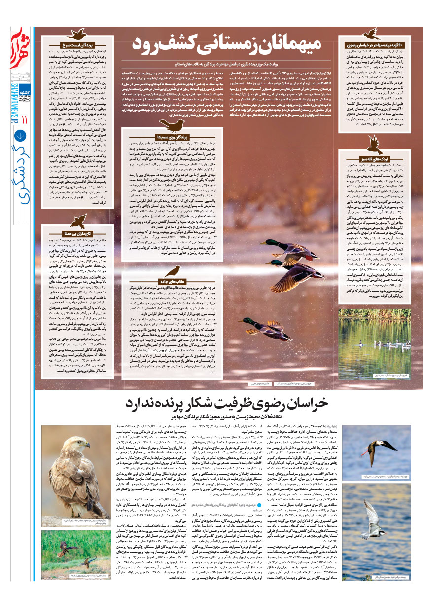 صفحه 11