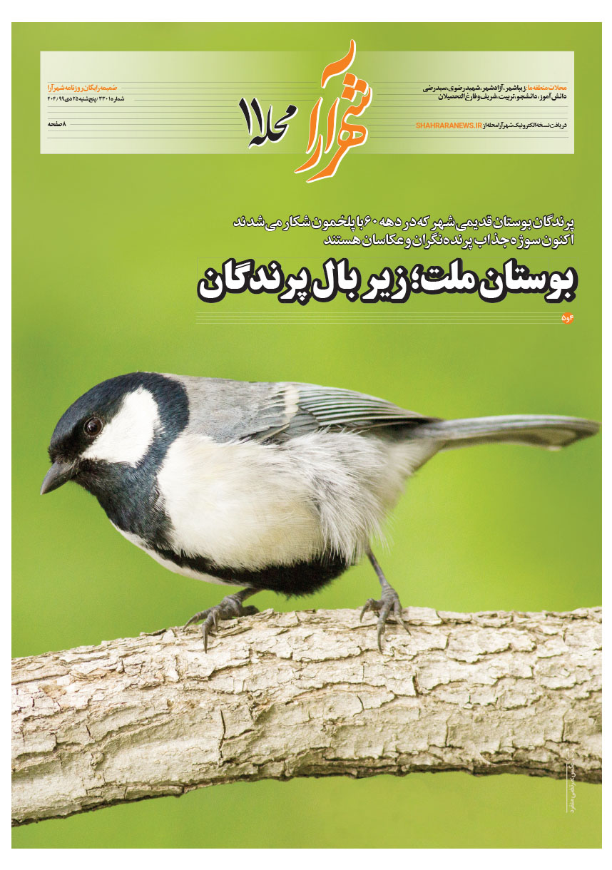 صفحه 1