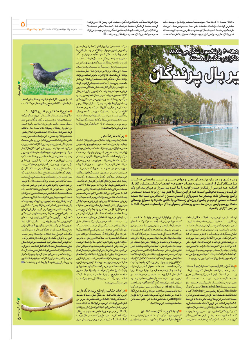 صفحه 5