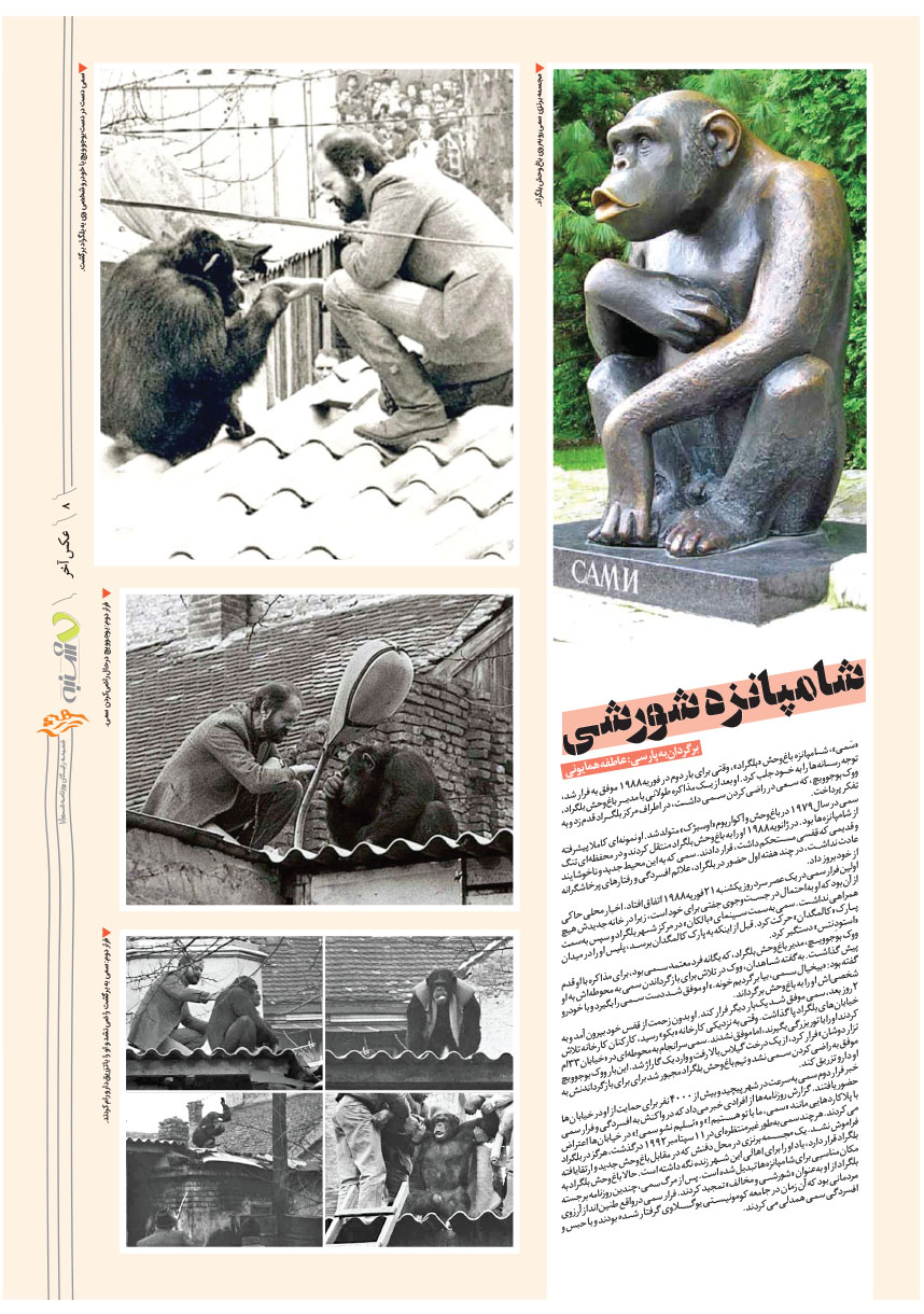صفحه 8