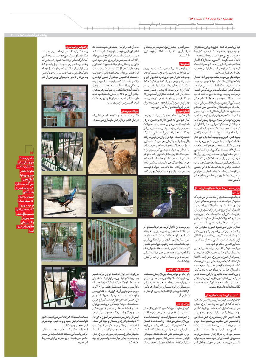 صفحه 5