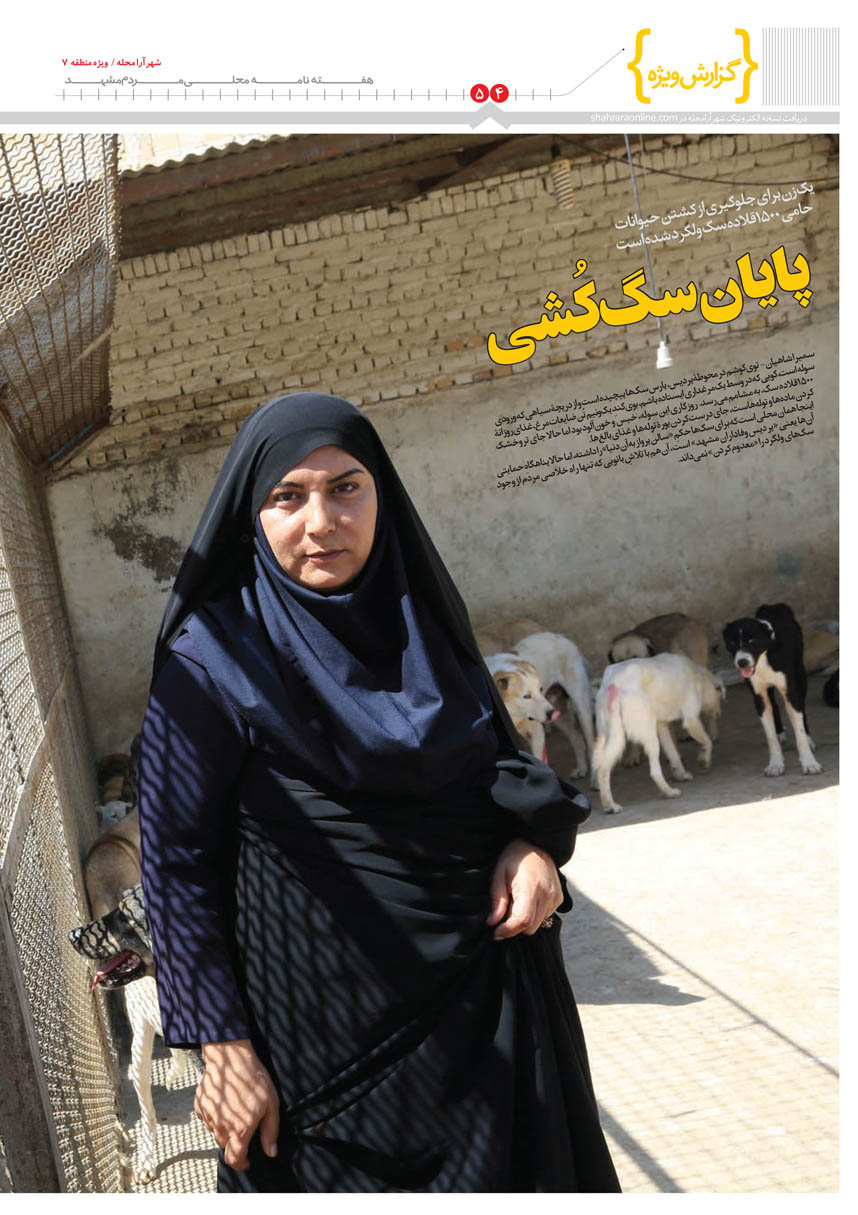 صفحه 4
