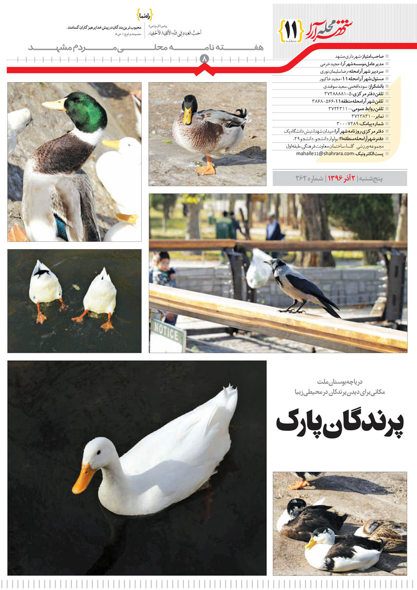 صفحه 8