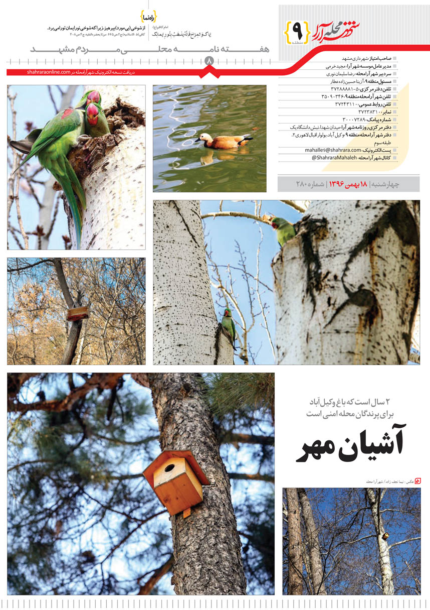 صفحه 8