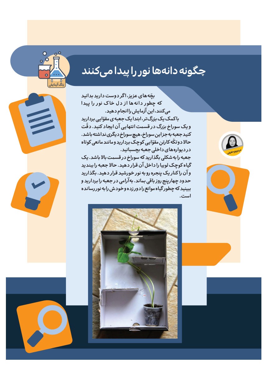 صفحه ۱۹