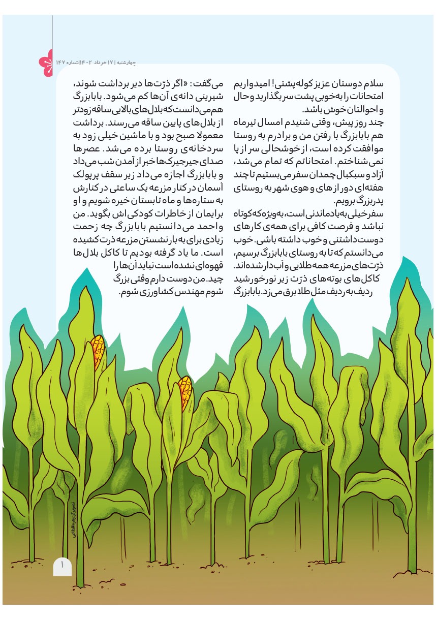 صفحه ۳