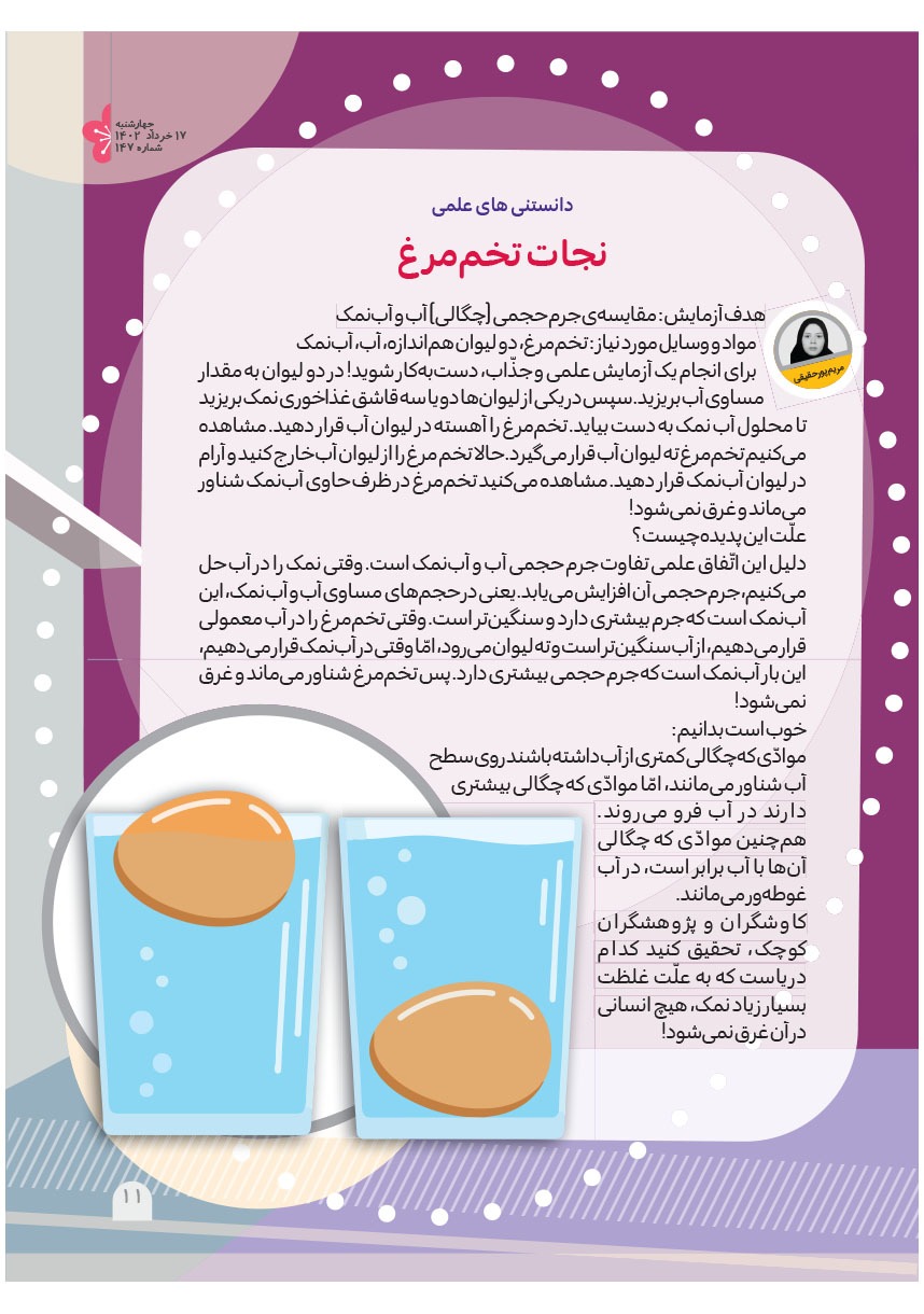 صفحه ۱۳