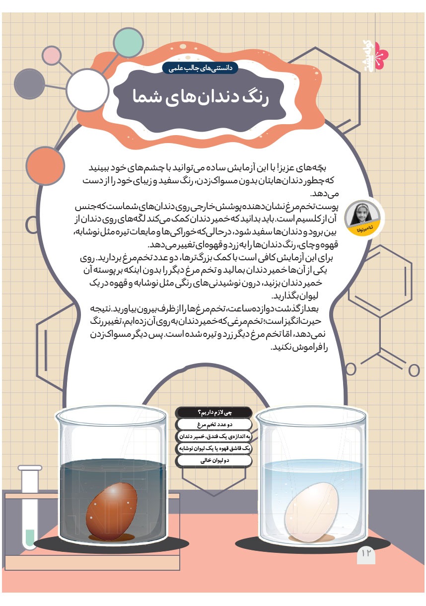 صفحه ۱۴