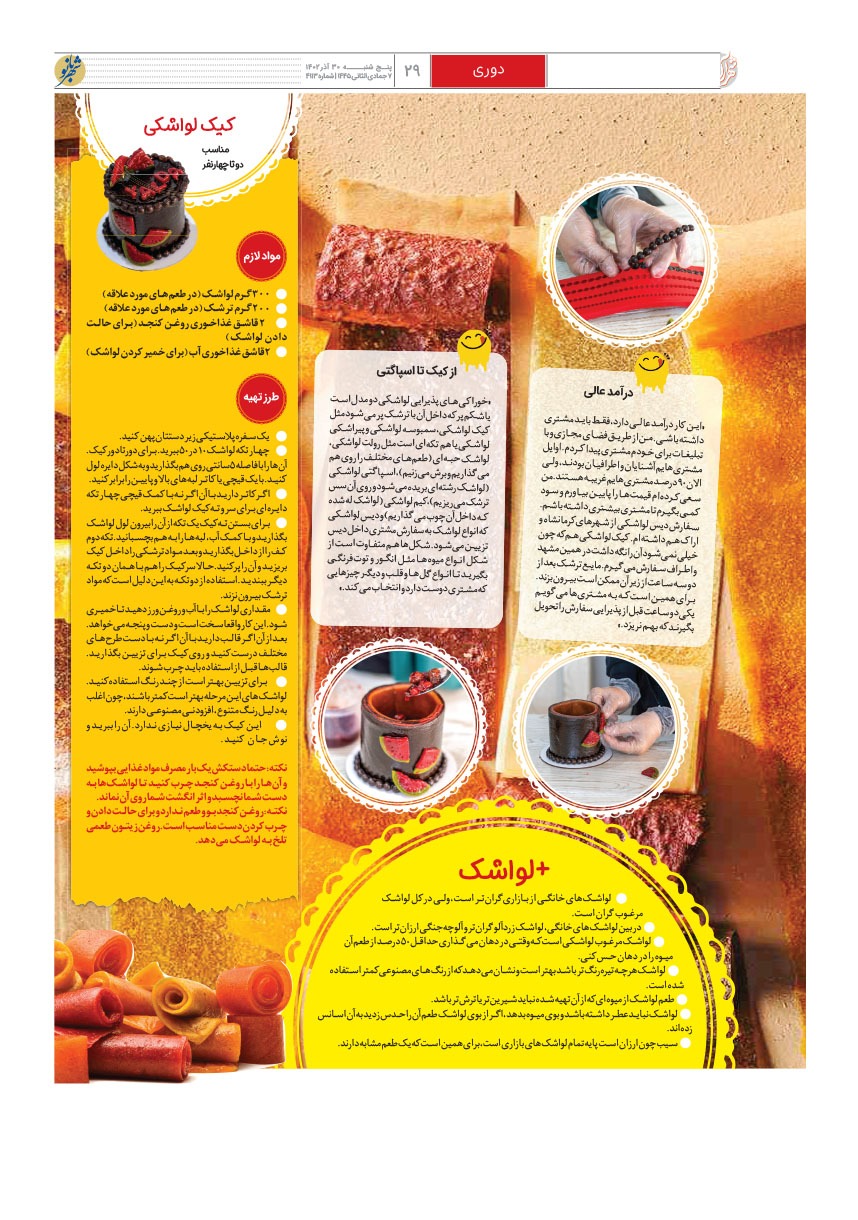 صفحه ۲۹