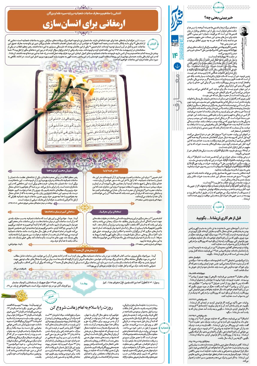 صفحه ۱۴