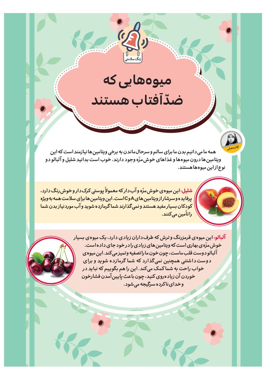 صفحه ۱۹