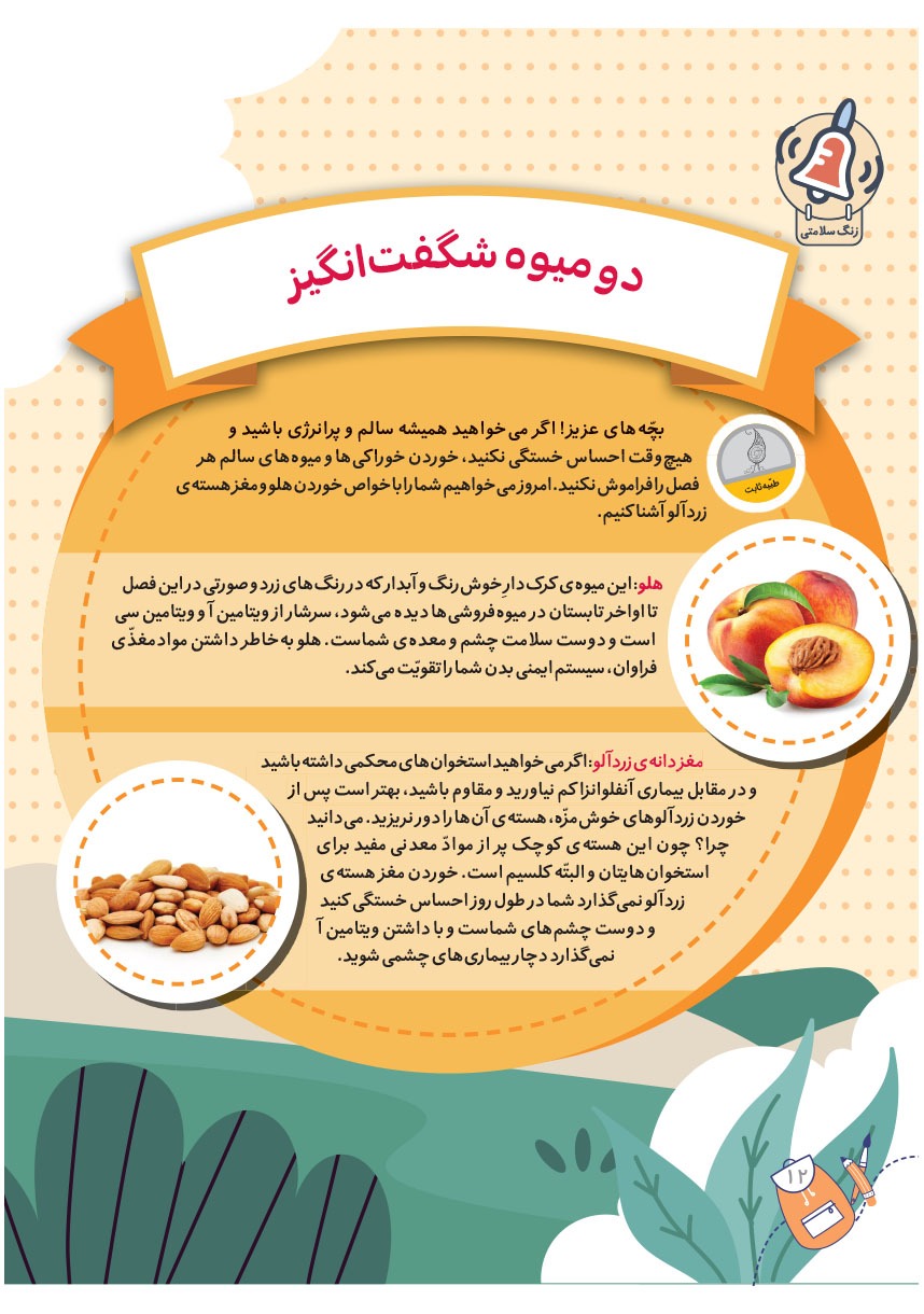 صفحه ۱۴
