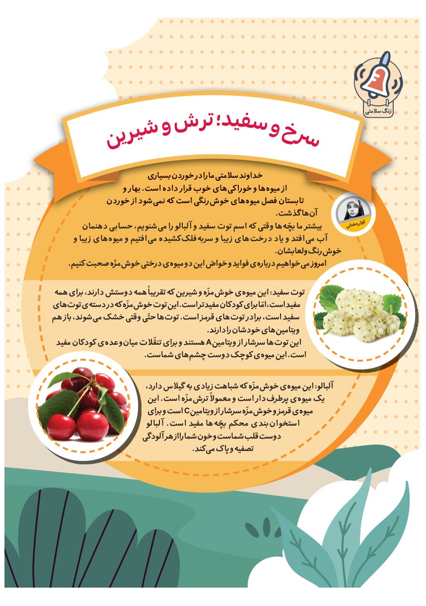 صفحه ۱۹