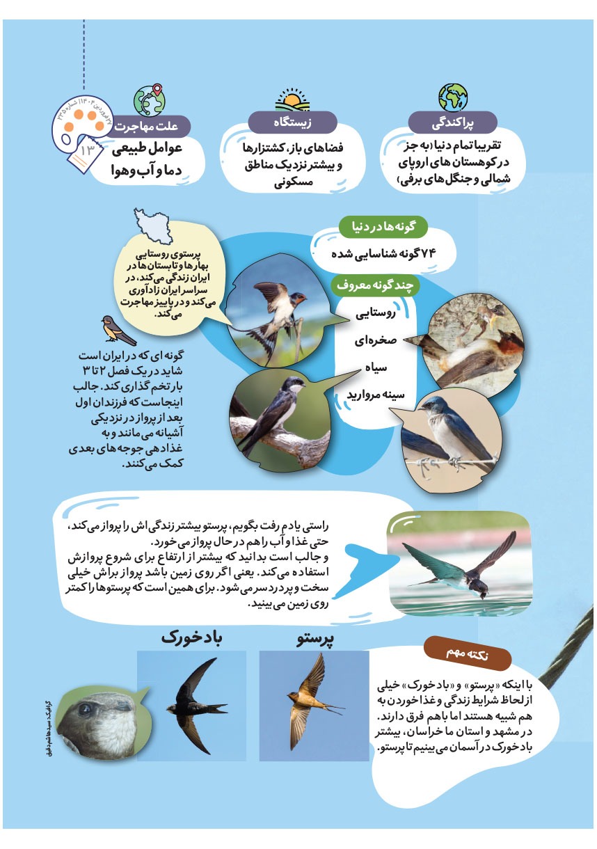 صفحه ۱۵