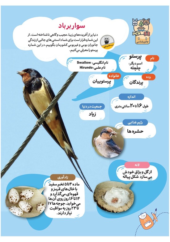 صفحه ۱۴