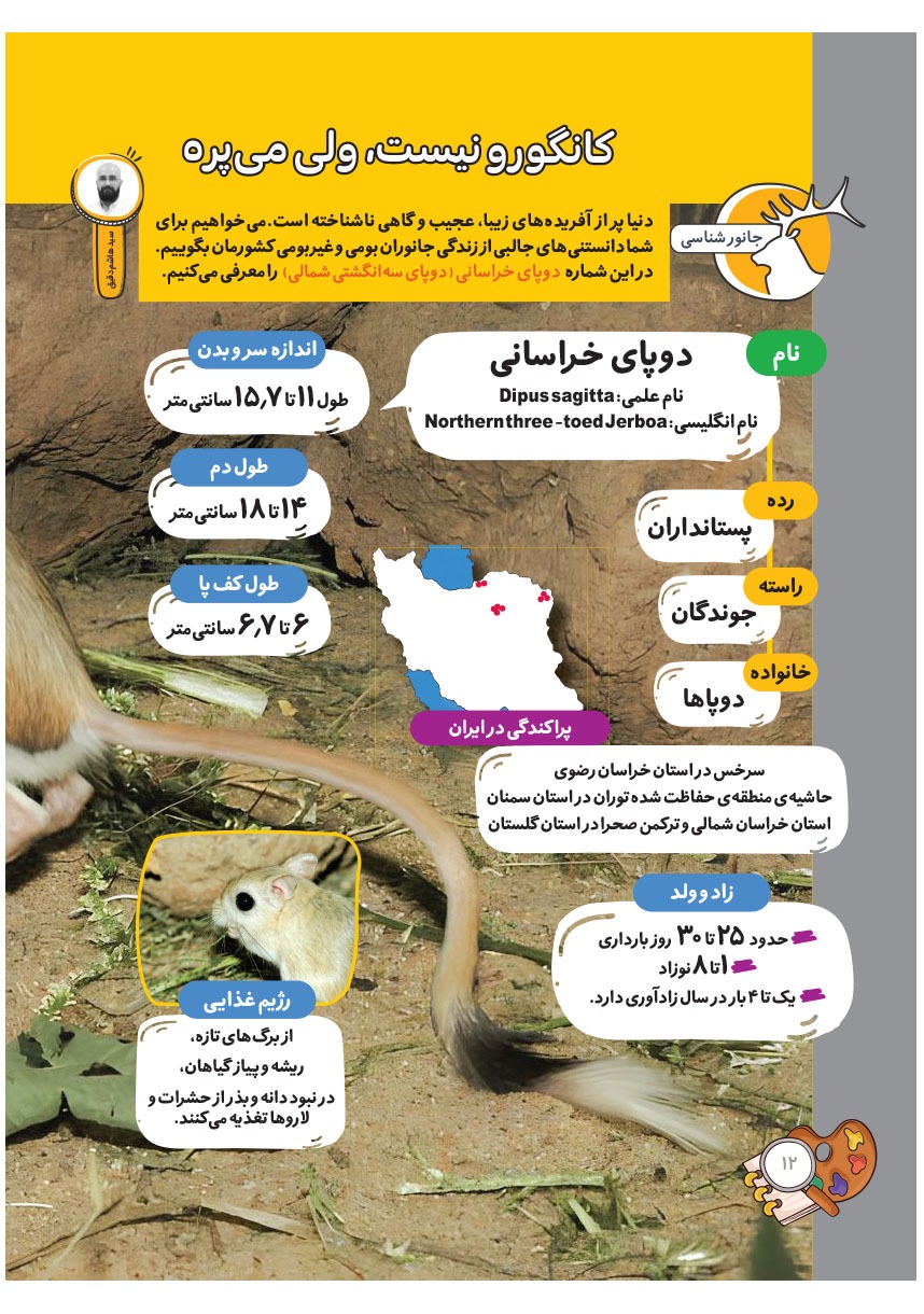 صفحه ۱۴