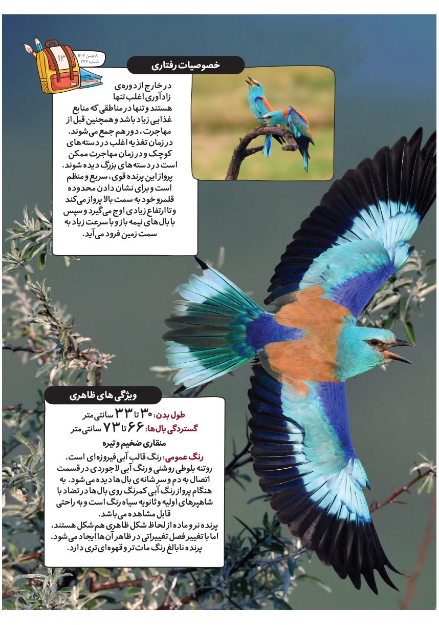 صفحه ۱۵