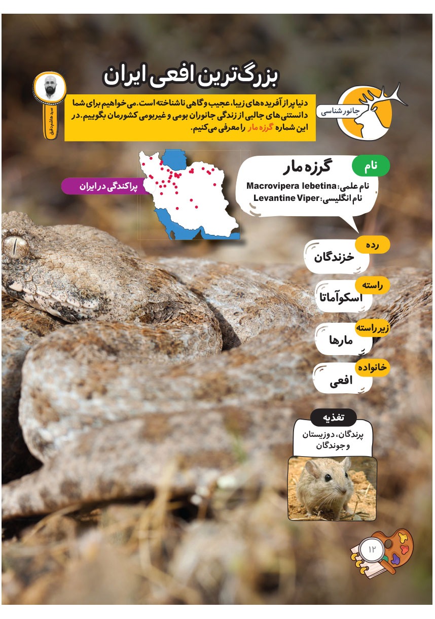 صفحه ۱۴