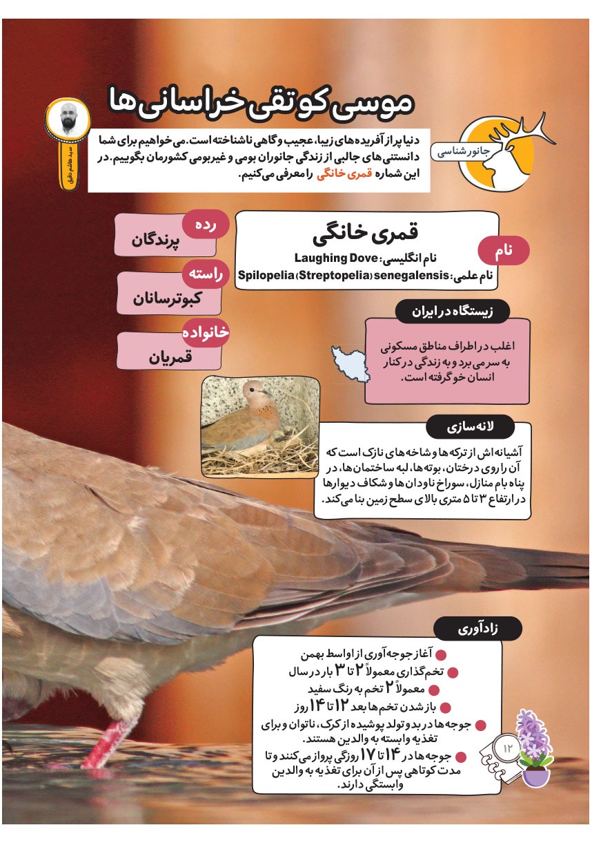 صفحه ۱۴