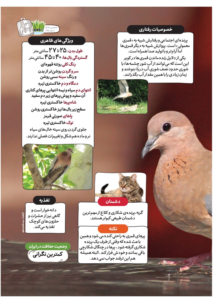 صفحه ۱۵