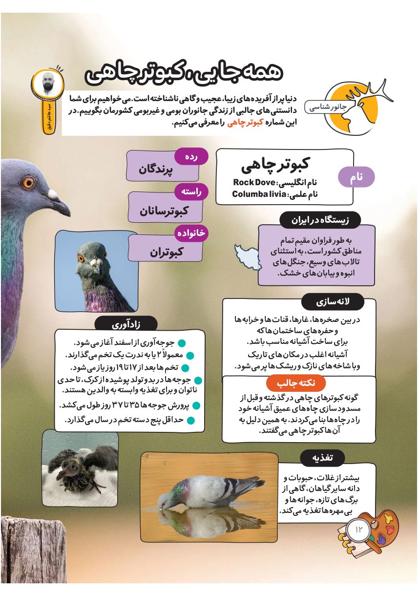 صفحه ۱۴