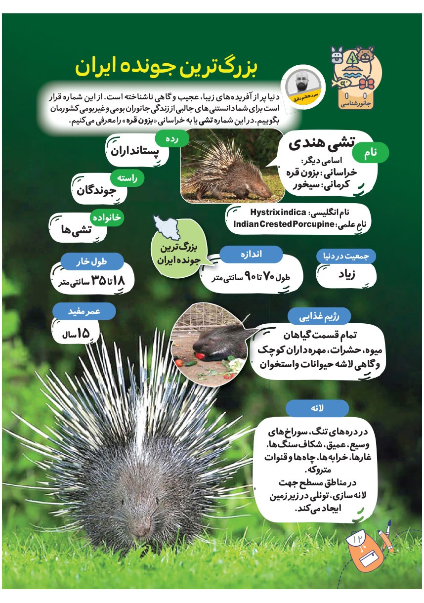 صفحه ۱۴