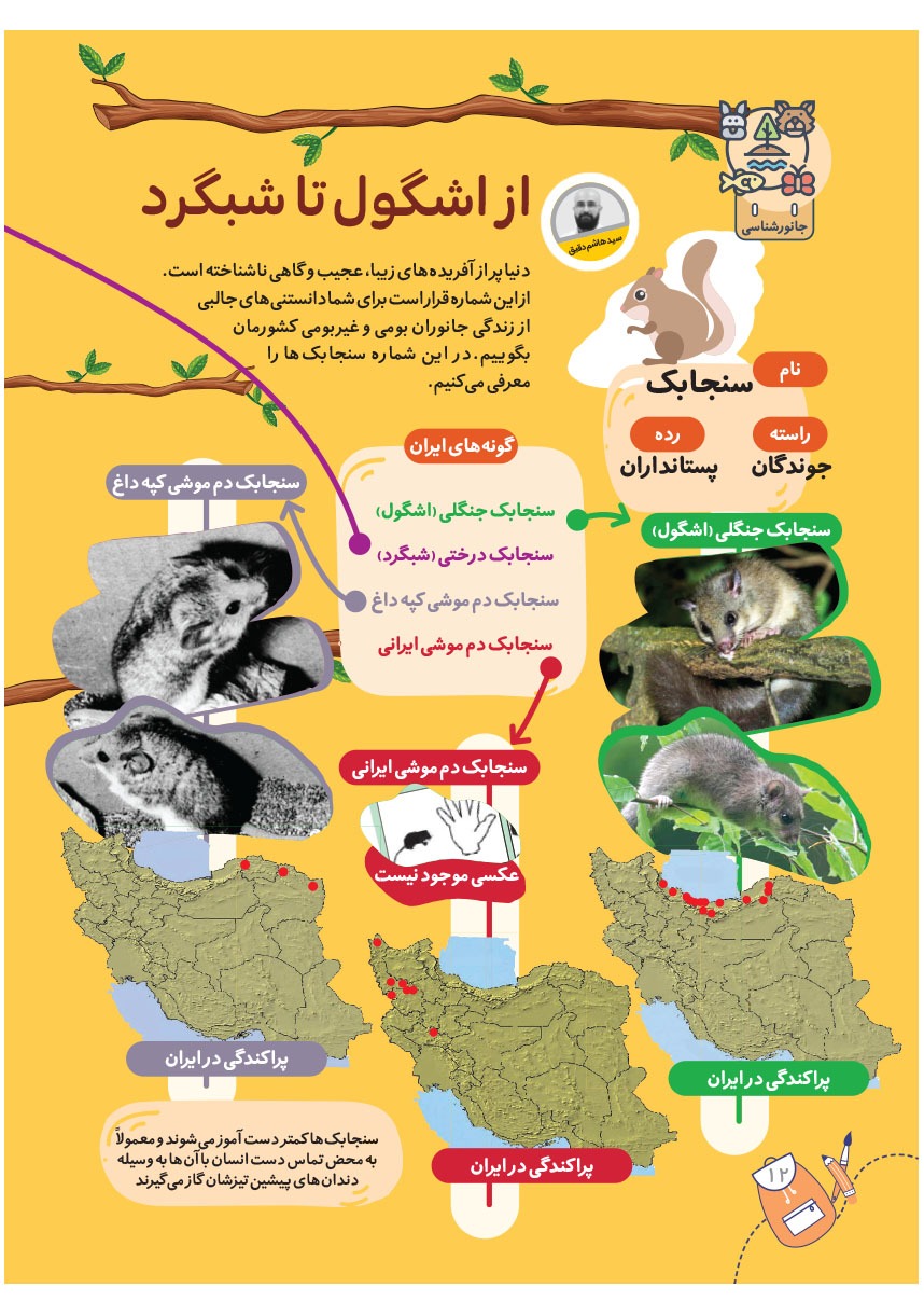 صفحه ۱۴
