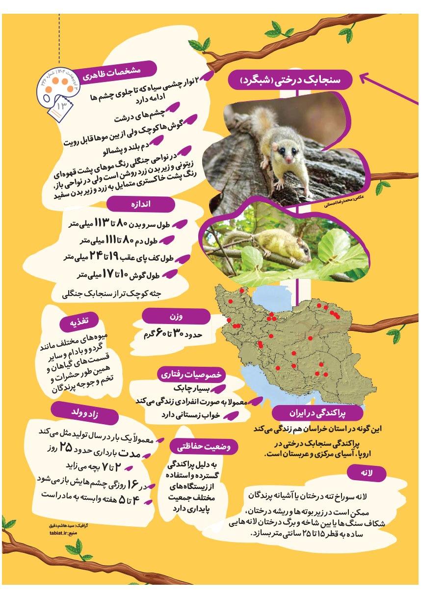 صفحه ۱۵