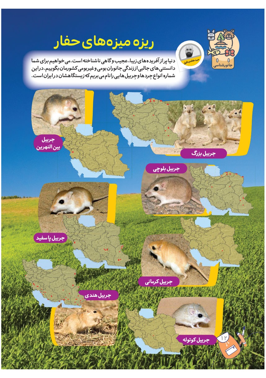صفحه ۱۴