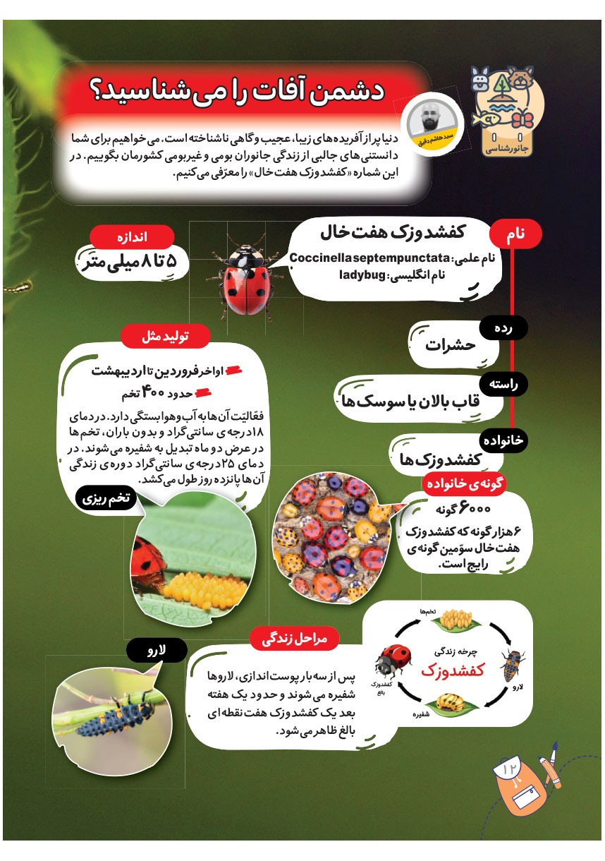 صفحه ۱۴