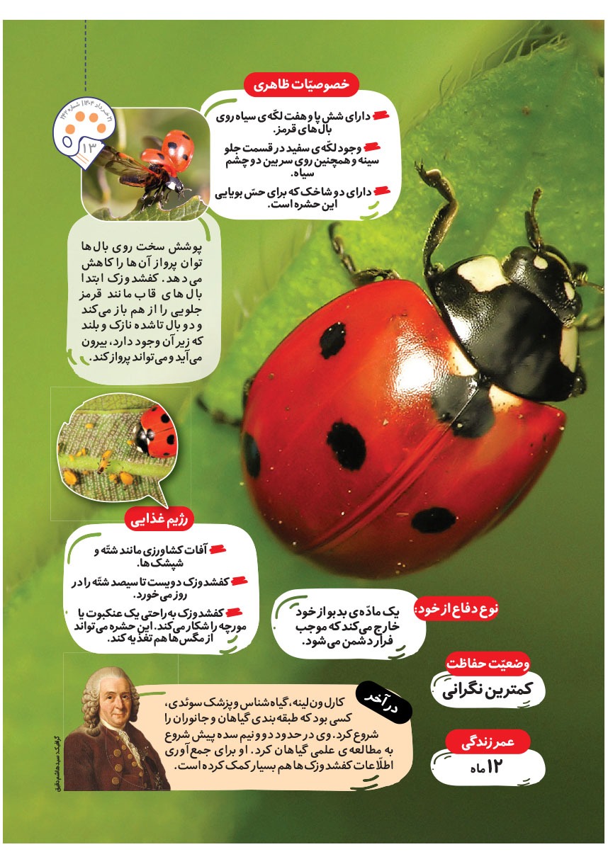 صفحه ۱۵