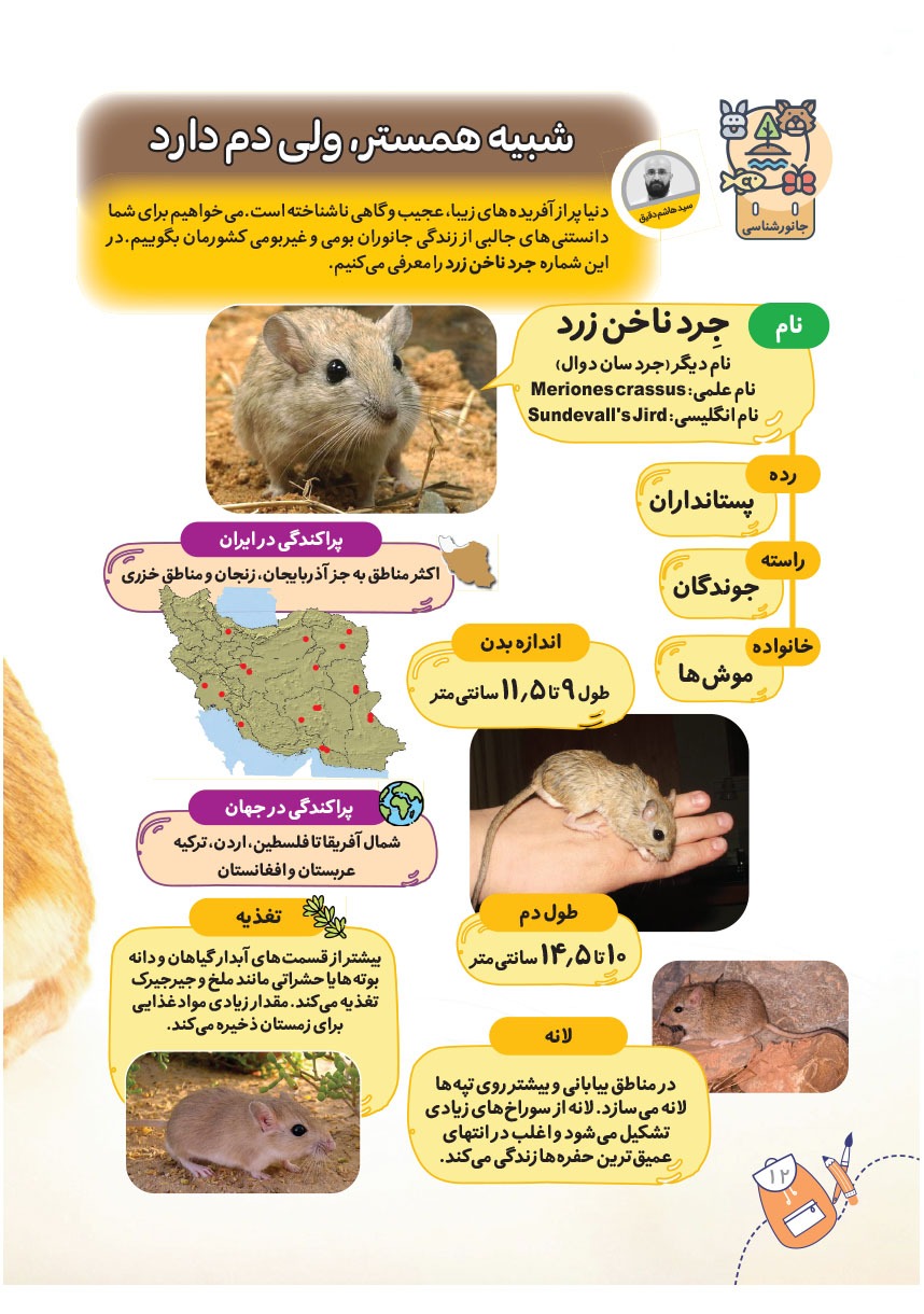 صفحه ۱۴