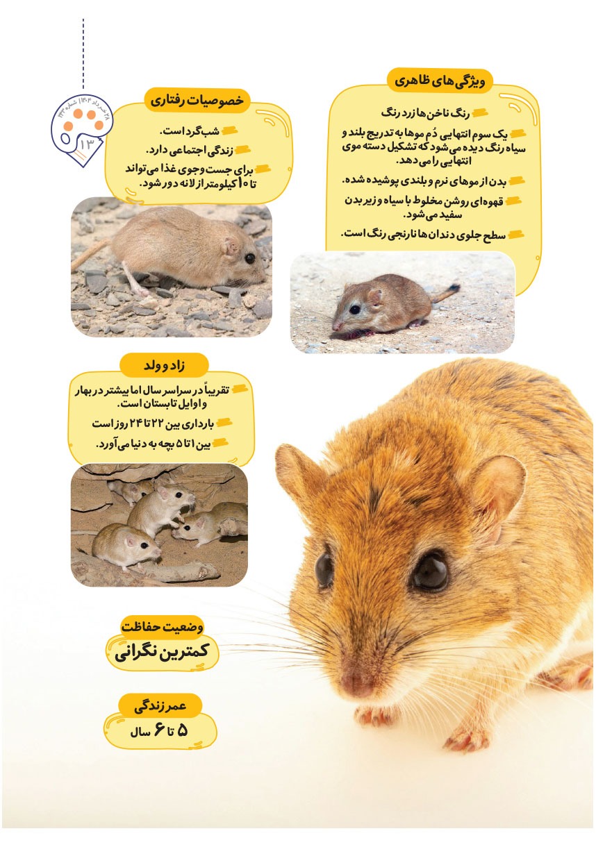 صفحه ۱۵