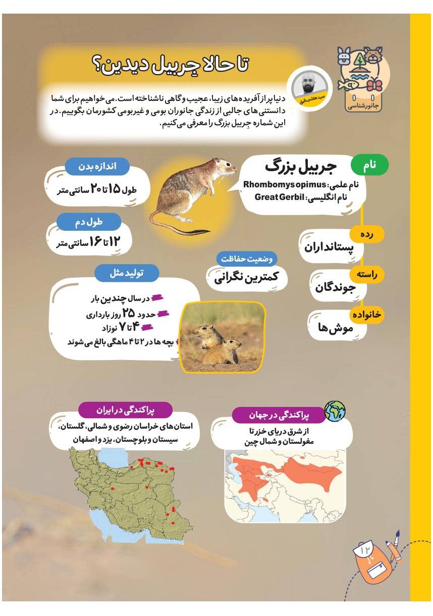 صفحه ۱۴