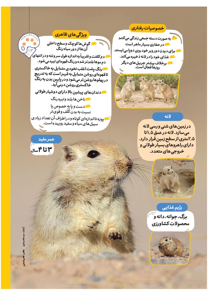 صفحه ۱۵