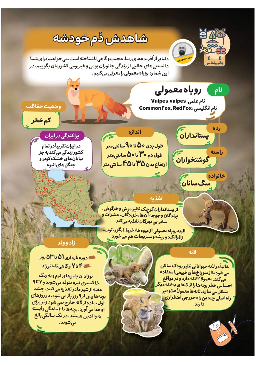صفحه ۱۸