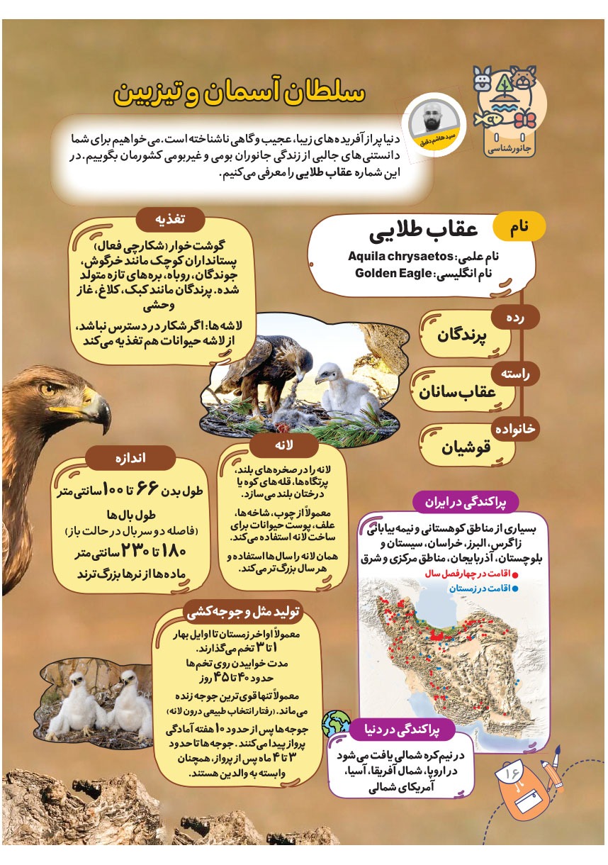 صفحه ۱۸