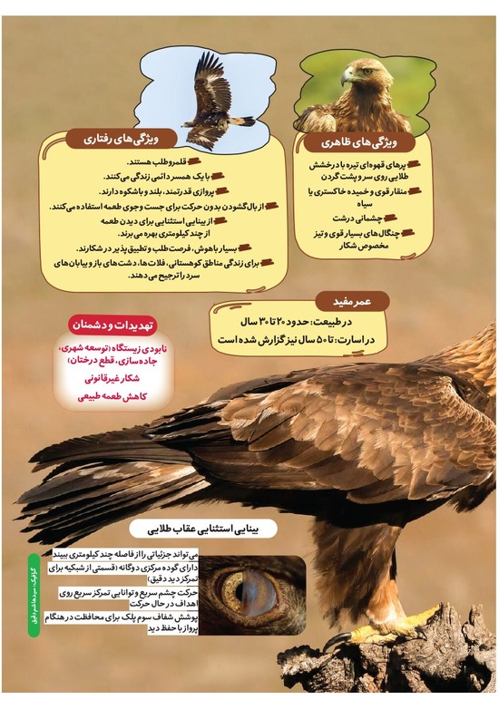 صفحه ۱۹